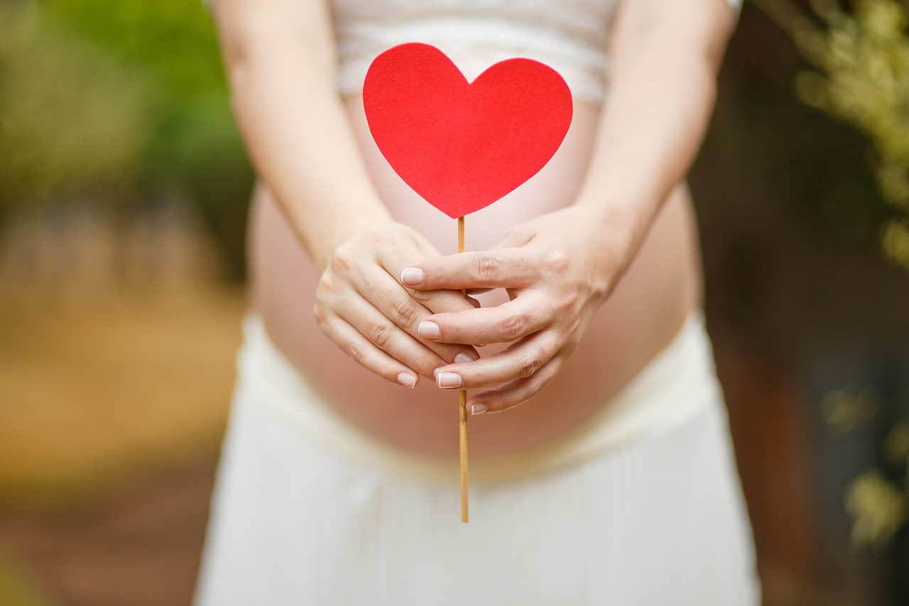 Tehotná žena drží papierové srdce na bruchu – prenatálne obdobie a začiatok pohybového vývoja
